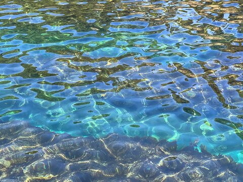Clear sea water turquoise surface with algae. 