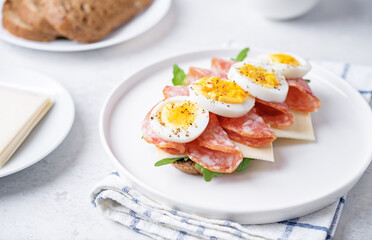 Salami sausages arugula cheese egg rye bread sandwich