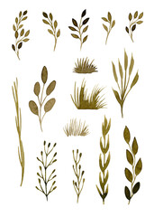 Large set of watercolor twigs and blades of grass for your design