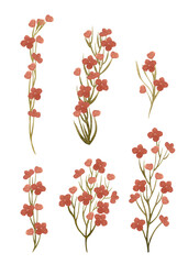 Large set of watercolor flowering branches for your design. Blooming branches for Easter