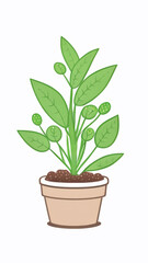 Green Plant in Flower Pot: Botanical Illustration
