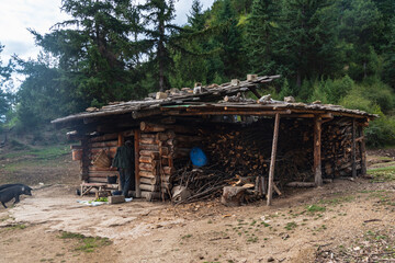Mountain hut and black pig in Jiuzhaigou, Sichuan, China