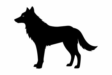 Wolf silhouette and on white background