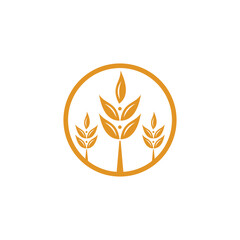 wheat plant vector logo design