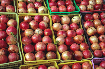 Roadside stall with pomegranate for sale in Gabes region in Tunisia