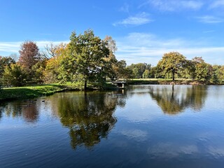 autumn park with lake