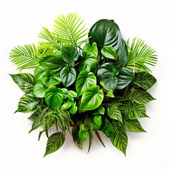 Green leaves of tropical plants bush floral arrangement