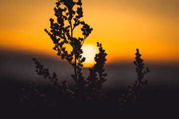 Kolejne piękne zdjęcie przedstawiające zachód słońca. Na tle widać że mamy kawałek...