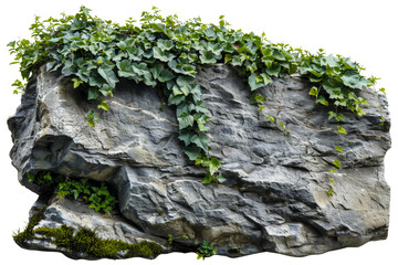 Natural rock with lush vegetation and white flowers, cut out - stock png.