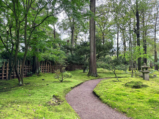 Bright moss, different plants, stone lantern and pathway in Japanese garden