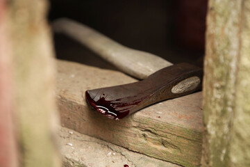 Axe with blood on wooden threshold, closeup