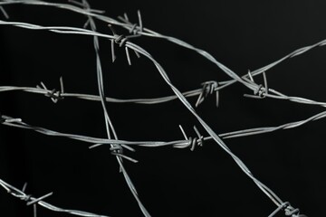Shiny metal barbed wire on black background