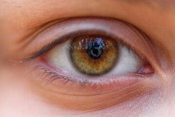 Child's human Eye. Macro brown eye