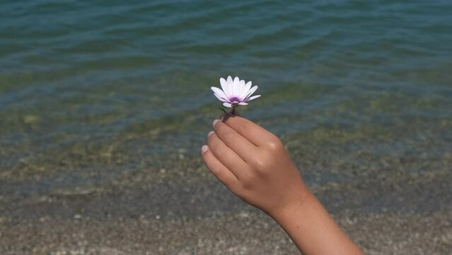 Mother's day on summer seashore. A view of mother's day with child and woman hand with flower against turquoise sea waves in summer.