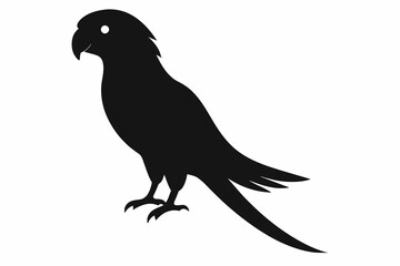 Parrot silhouette  on white background