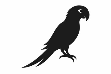 Parrot silhouette  on white background