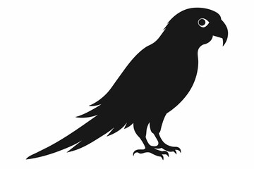 Parrot silhouette  on white background