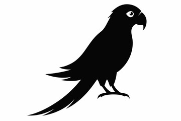 Parrot silhouette  on white background