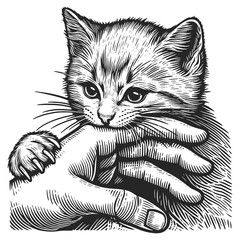Kitten bites hand sketch engraving generative ai fictional character vector illustration. Scratch board imitation. Black and white image.