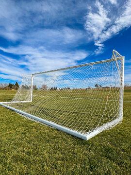 Soccer field with goal, vertical