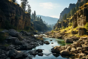 Foto op Plexiglas Watercourse meandering through rocky canyon amidst lush trees, under vast sky © Yuchen