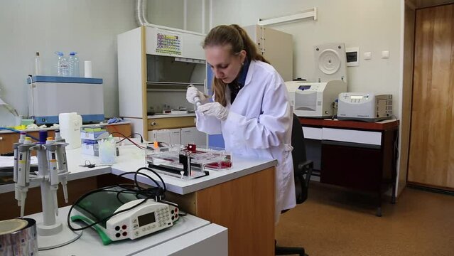 Scientist puts samples with DNA fragments into agarose gel for separation of DNA fragments for electrophoresis