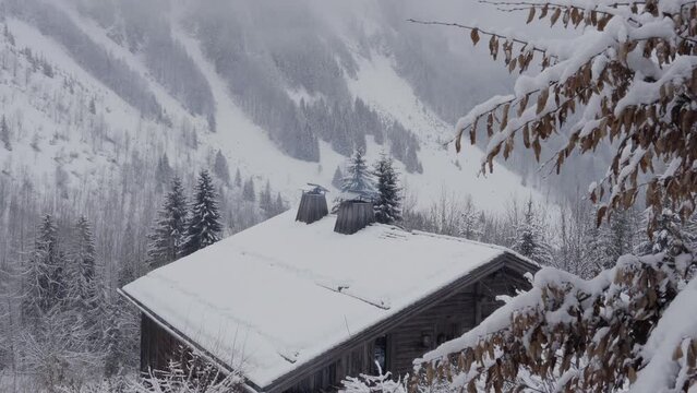 Snowy mountain forest
