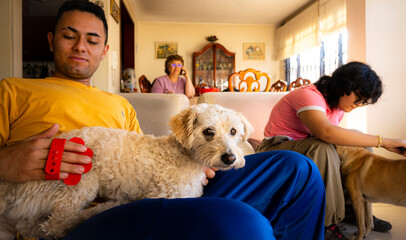 Siblings combing pets, two dogs at home