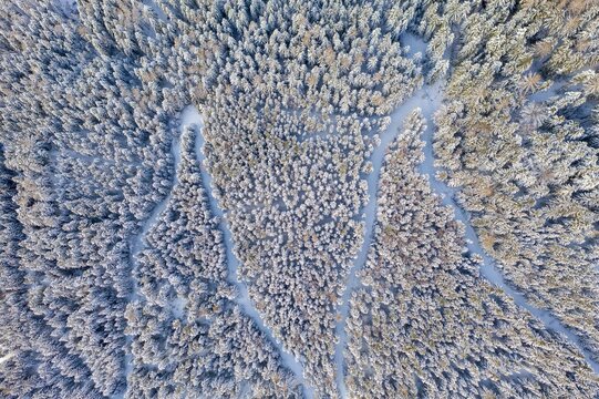 Hiking trail in winter forest from above, drone shot, Austria, Europe