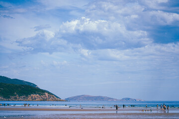 Fototapeta premium beach and cloud