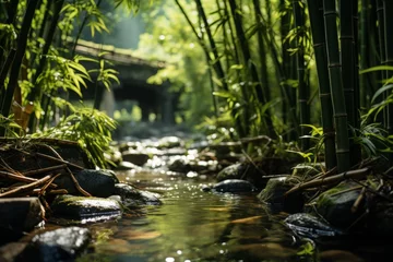 Foto op Canvas Water flows through bamboo forest with bridge in background © yuchen