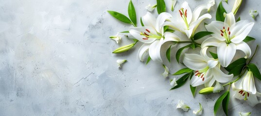 Funeral lily isolated on white with room for text, ideal for elegant funeral announcements - obrazy, fototapety, plakaty