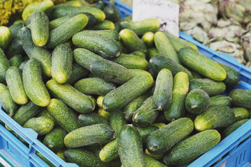 Cucumbers at a farmers market