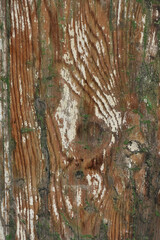 Old wood background and texture - 757623518