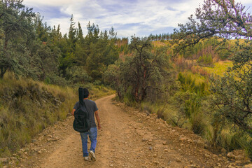 Obraz premium young traveler walking along a mountain trail surrounded by vegetation carrying a guitar on his back