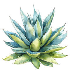Watercolor Succulent Cactus - 757627517