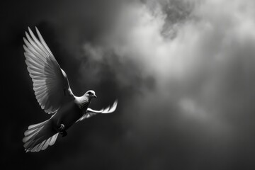 Dove in flight against cloudy sky in monochrome