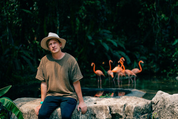 tourist are looking for Group of pink flamingos in the jungle. mexico - may 2023