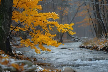 autumn oil painting in the forest, A stunning river and forest scene as a digital
