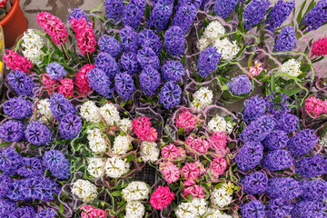 A bunch of flowers with purple, white and pink colors