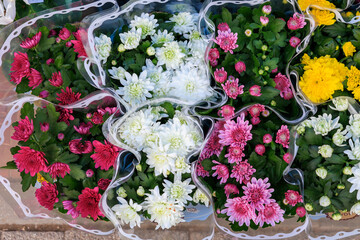 A bouquet of flowers with white and pink flowers