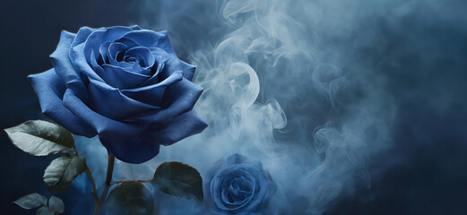 Niebieska róża - obrazy, fototapety, plakaty