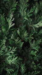 Monochrome pattern of varied green thuja leaves for subtle and sophisticated background