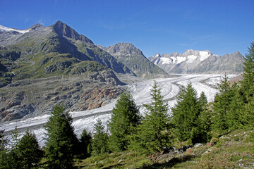 Aletsch Glacier, Jungfrau-Aletsch protected area, Bernese Alps, Switzerland
