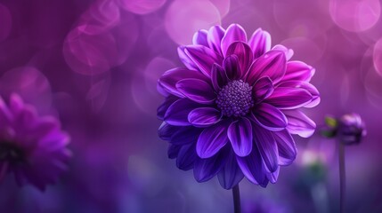 close-up view of a vibrant purple flower standing out against a lush purple background, copy space, 16:9