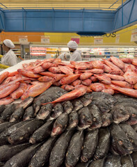 A large quantity of fresh fish, ready for sale in a supermarket. In the background, you can see...