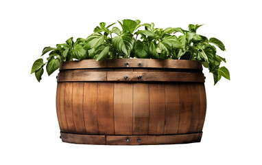 Rustic wooden barrel planter for outdoor gardening.