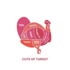 vector illustration guide Meat cuts set. Turkey Butcher Poster diagrams and schematics.