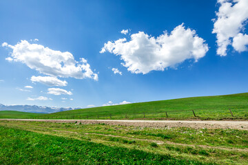 Fototapeta na wymiar Country road and green grassland nature landscape under blue sky