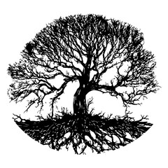 hand drawn illustration of oak tree logo, dead tree